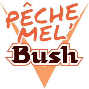 PMB-logo